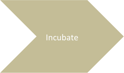 Incubate