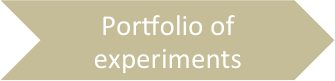 Portfolio of Experiments