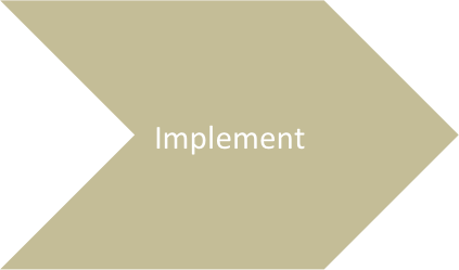 Change Management Implement Process