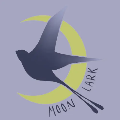 Moon Lark Sleepovers