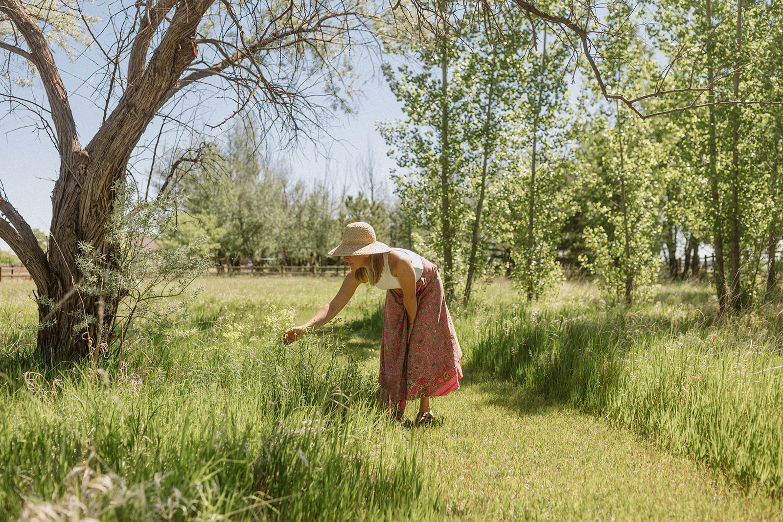 A Mother Gardener garden