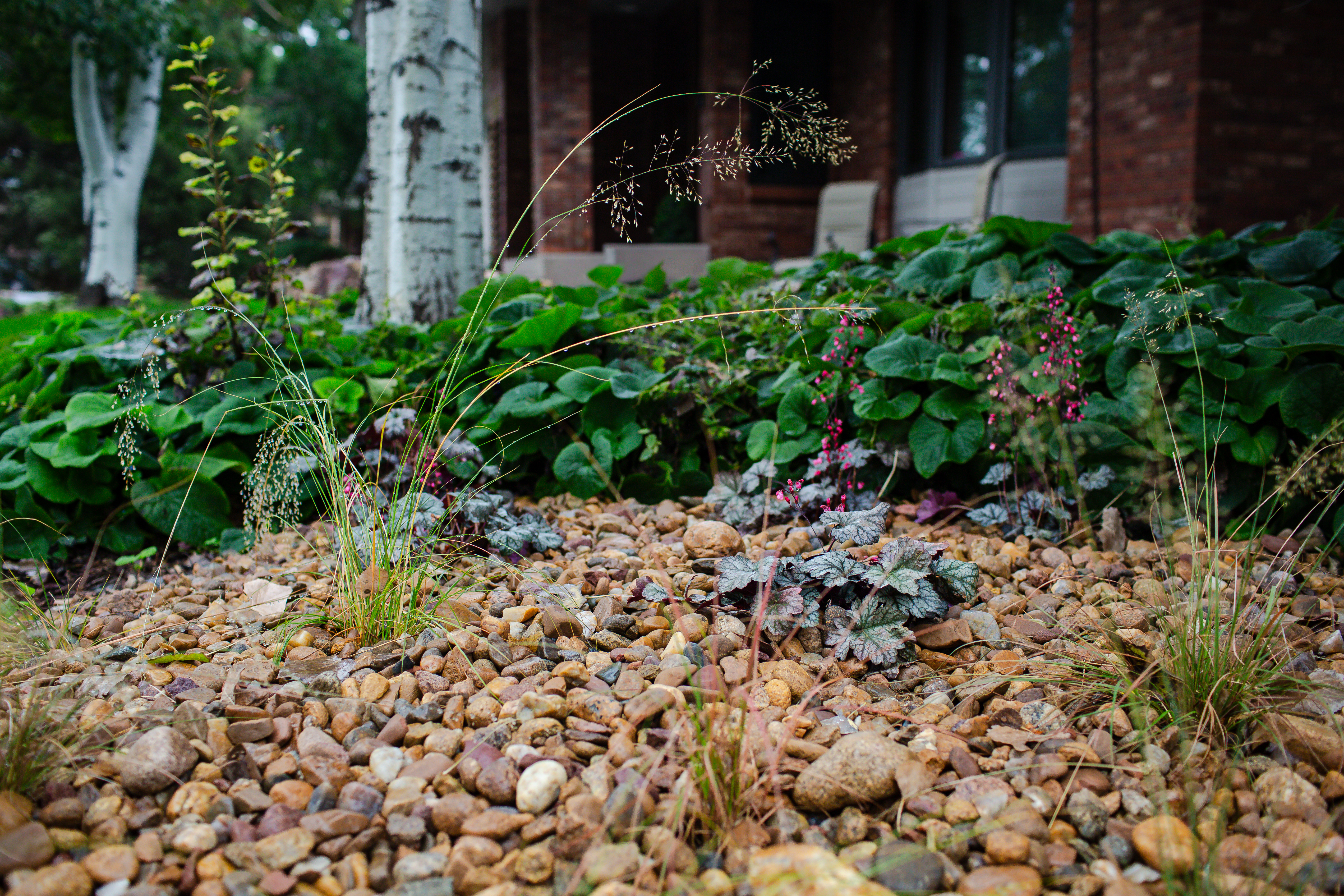 A Mother Gardener garden