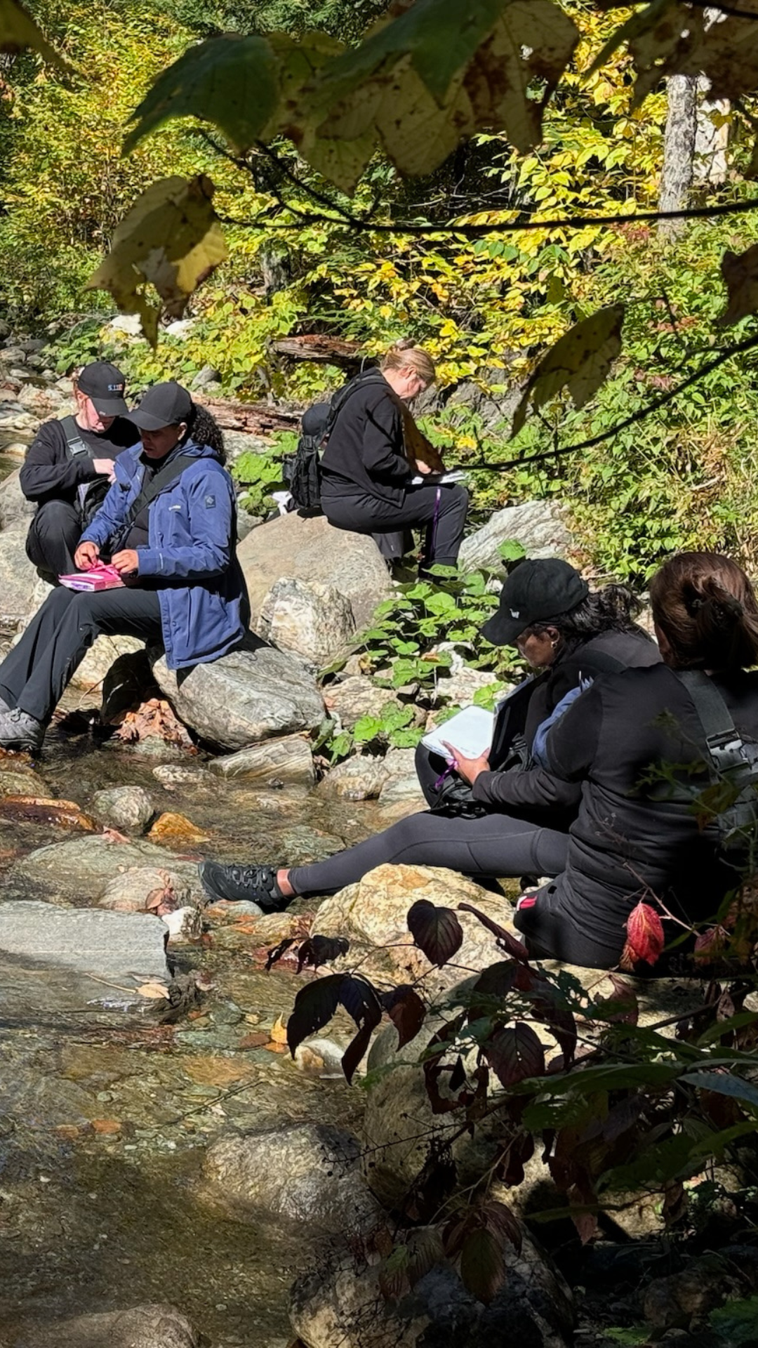 Project Light gallery image 7