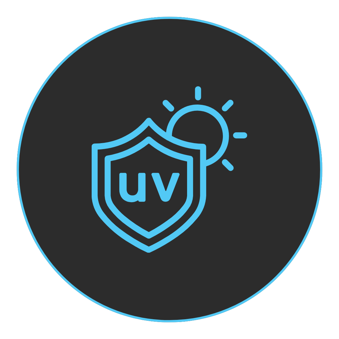 interior detail pacakage