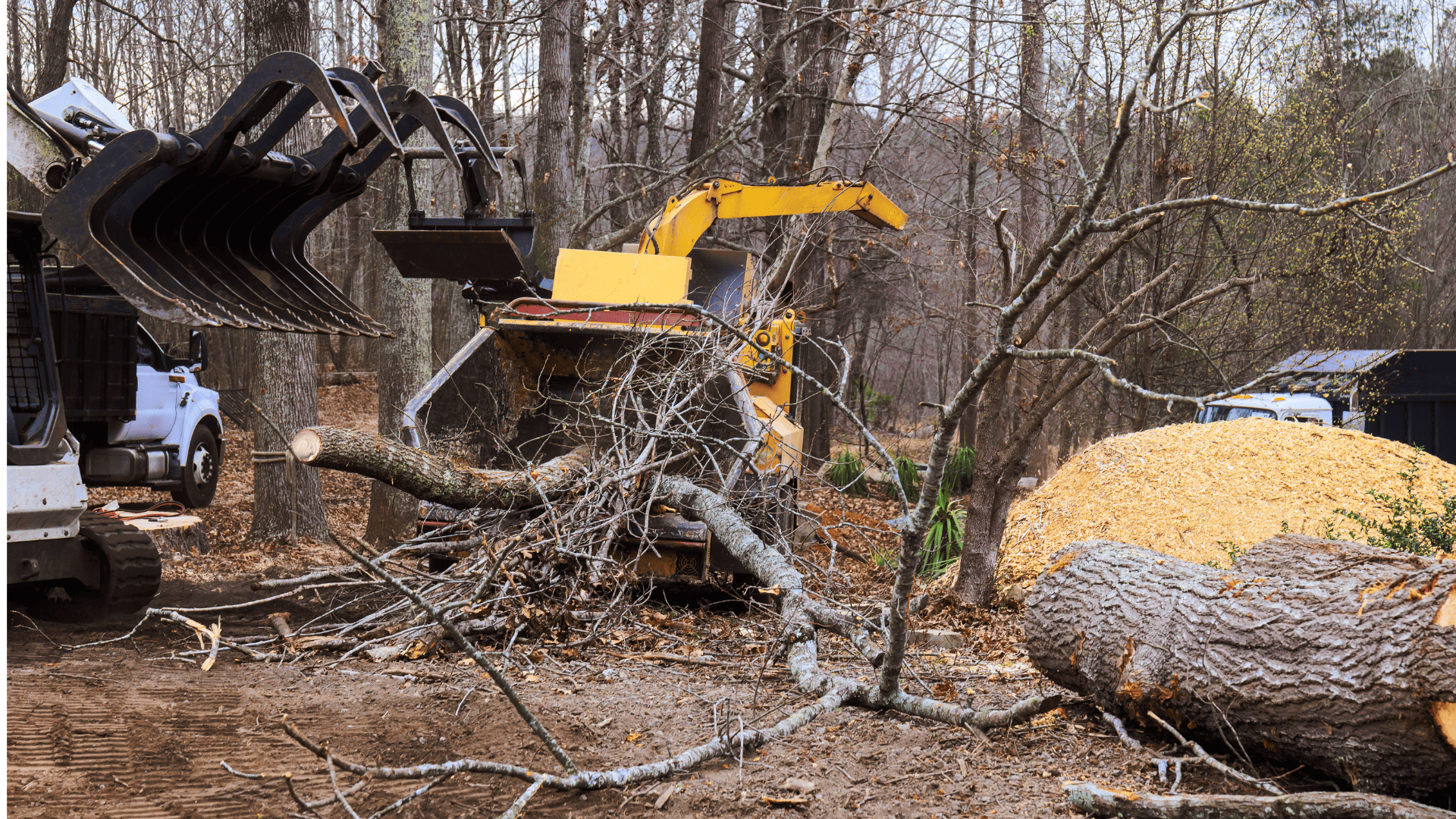 {{ custom_values.service_1 }} in {{custom_values.biz_area_1})