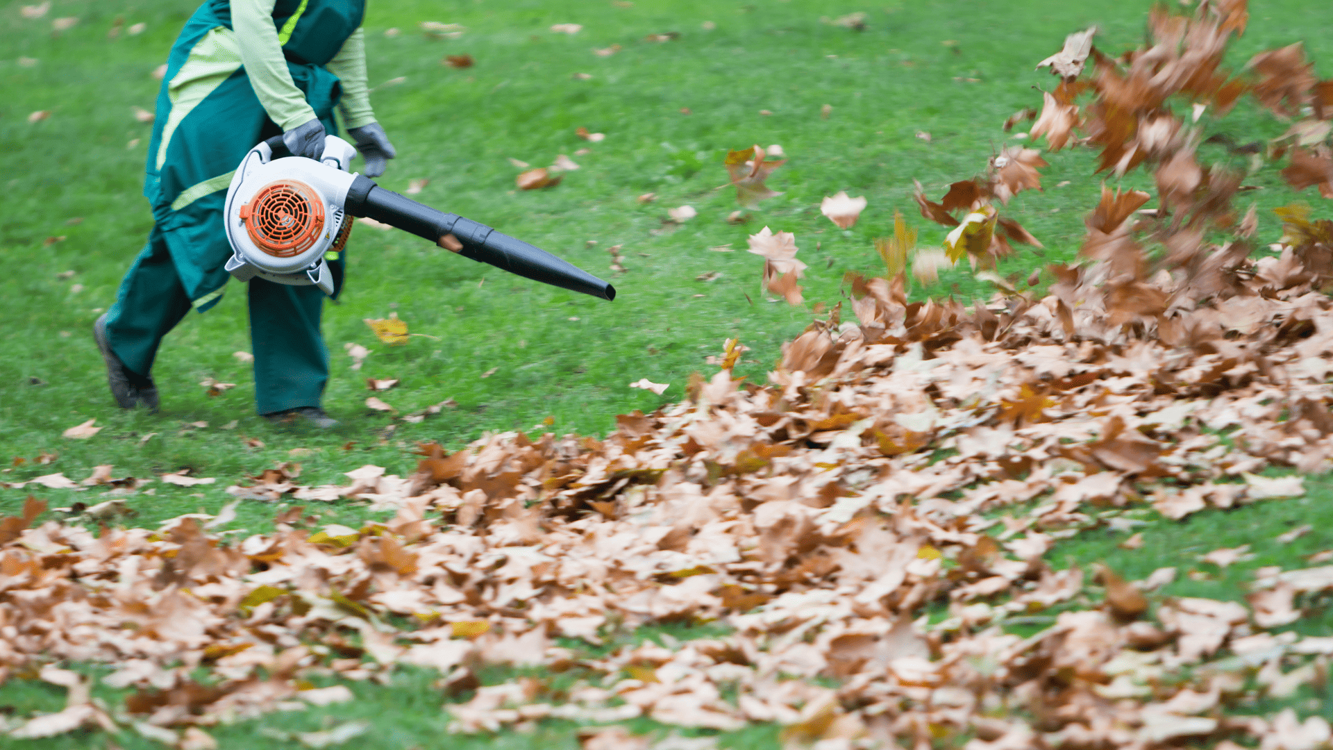 Seasonal Cleanups in Ambler