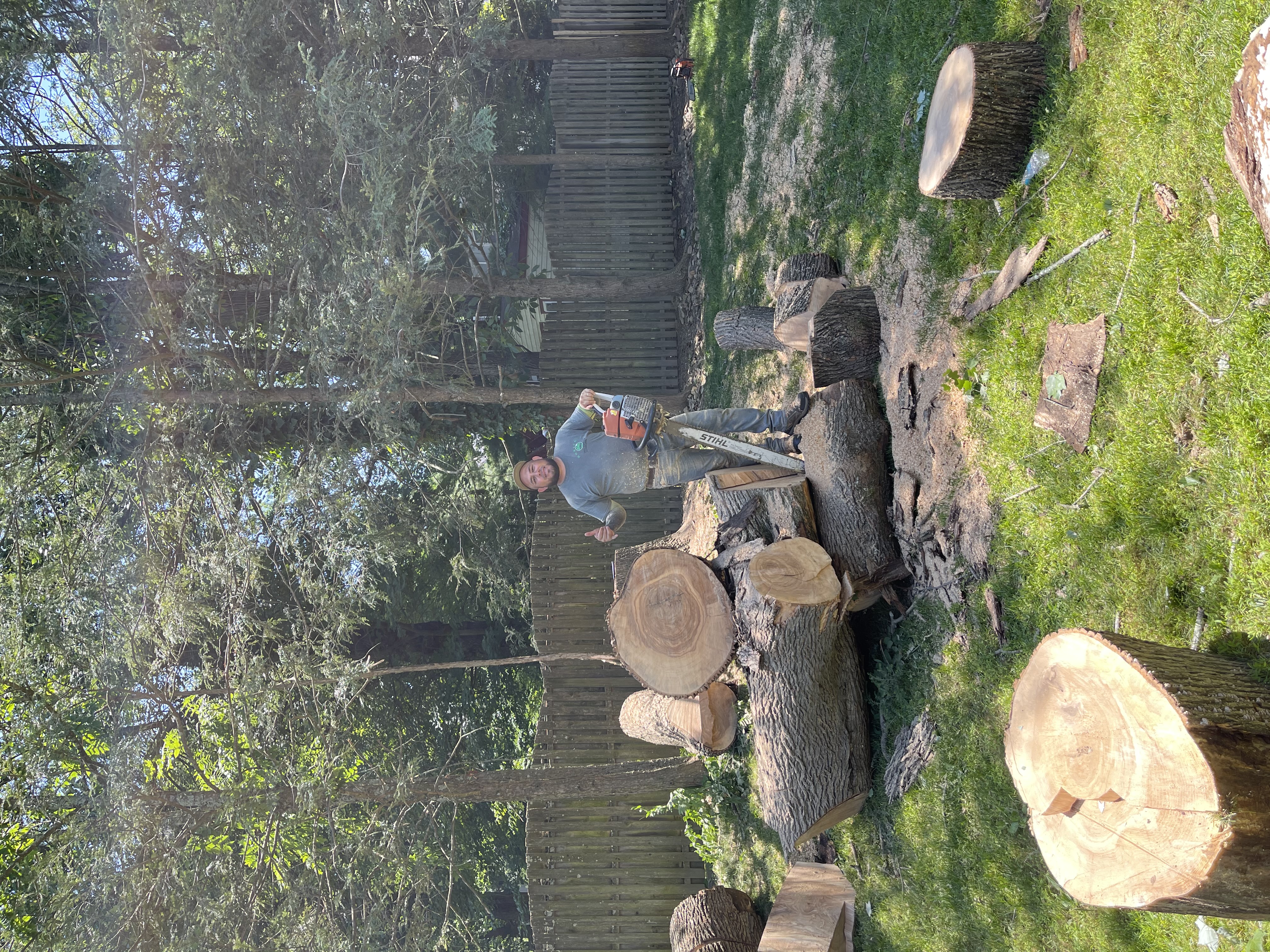 Hatboro Tree Removal