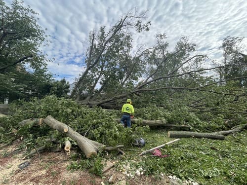 Lawn Care - Mowing Ambler