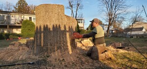 Lawn Care - Mowing Ambler