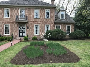 Seasonal Cleanups Ambler