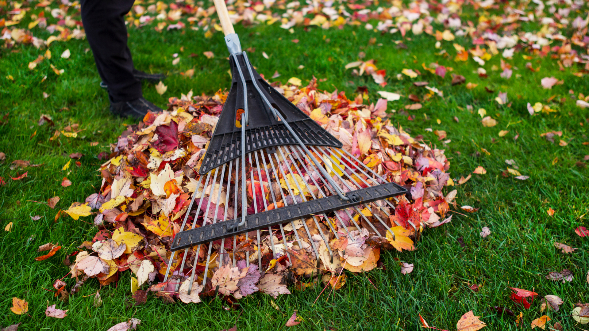 Hatboro Seasonal Cleanups