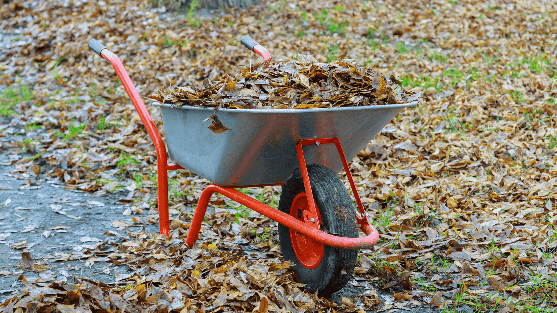 Horsham Seasonal Cleanups