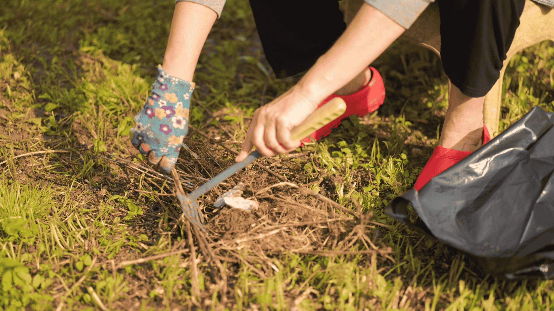 Horsham Weed Removal