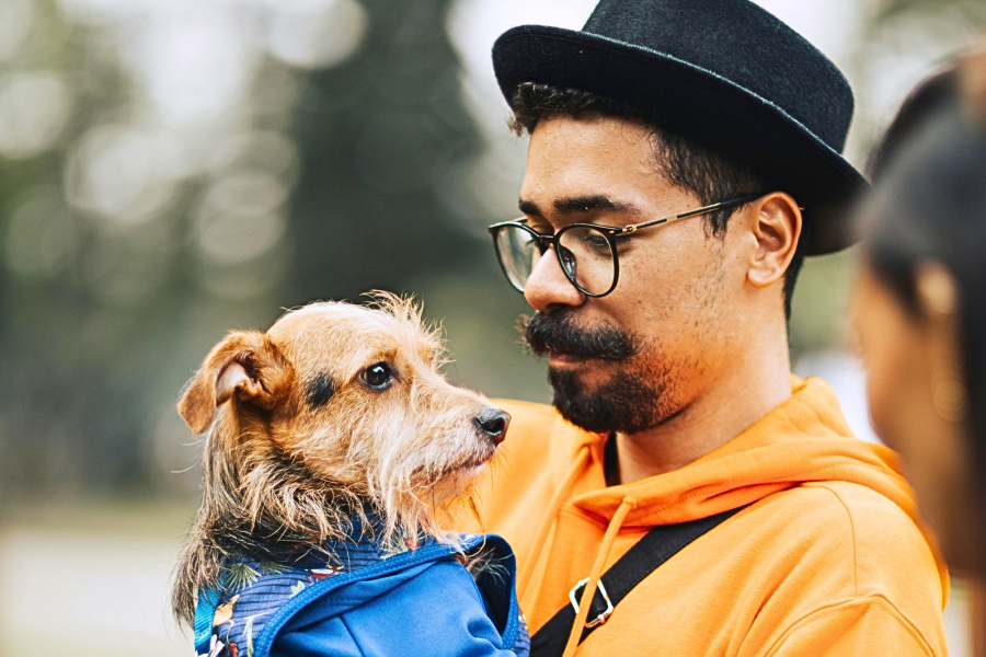 Gen Z Man holds cute terrier dog Gen Z Man holds cute terrier dog