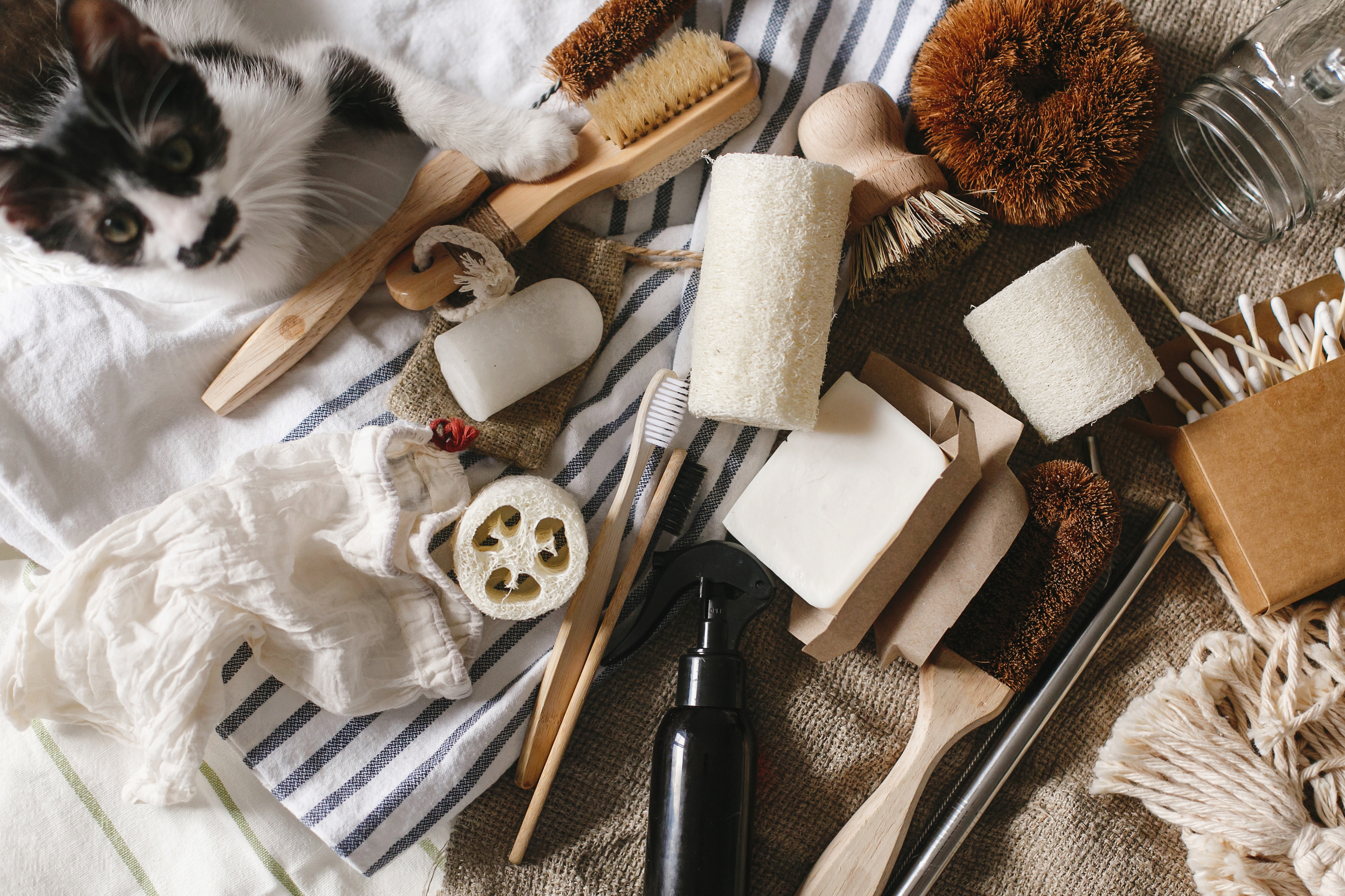 black and white cat sits amid natural brushes and products eco friendly black and white cat sits amid natural brushes and products eco friendly