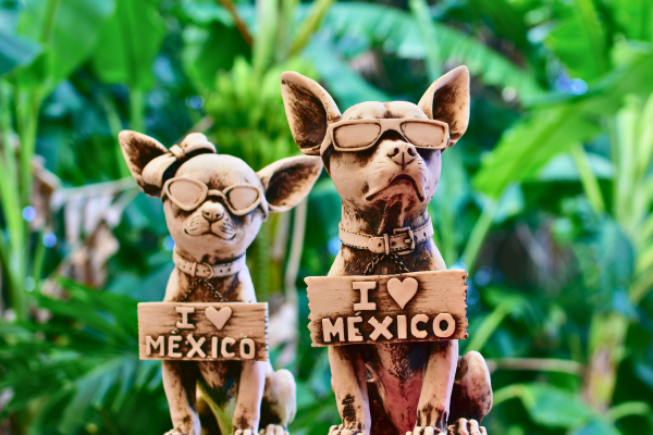 dog and cat statues have I heart Mexico signs