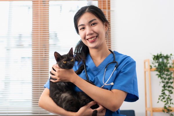 friendly Asian female vet holds cat