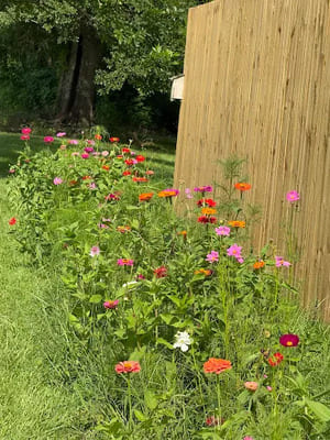 {{ custom_values.service_3 }} in {{custom_values.area_3})