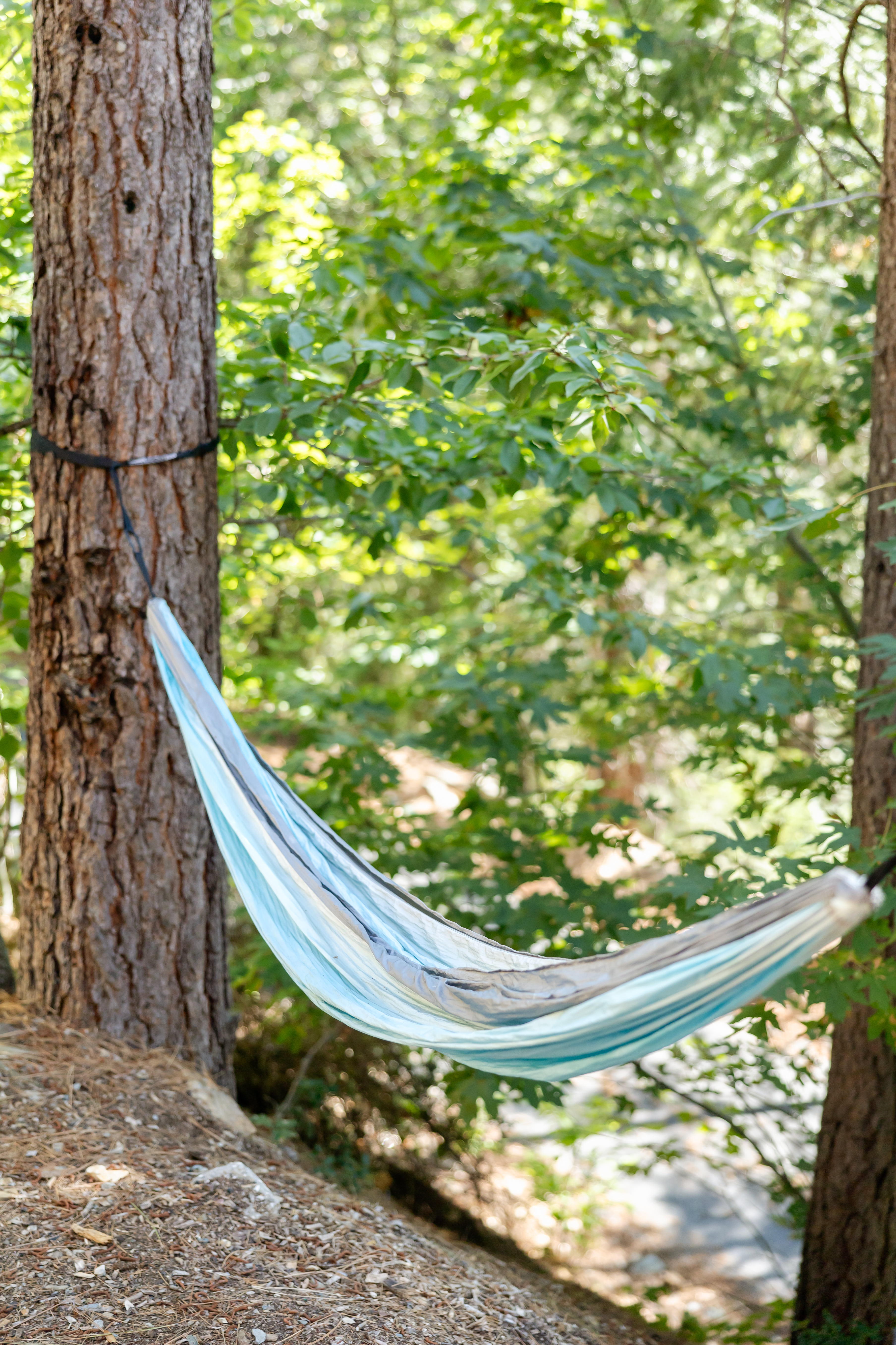 Hammock in the forest