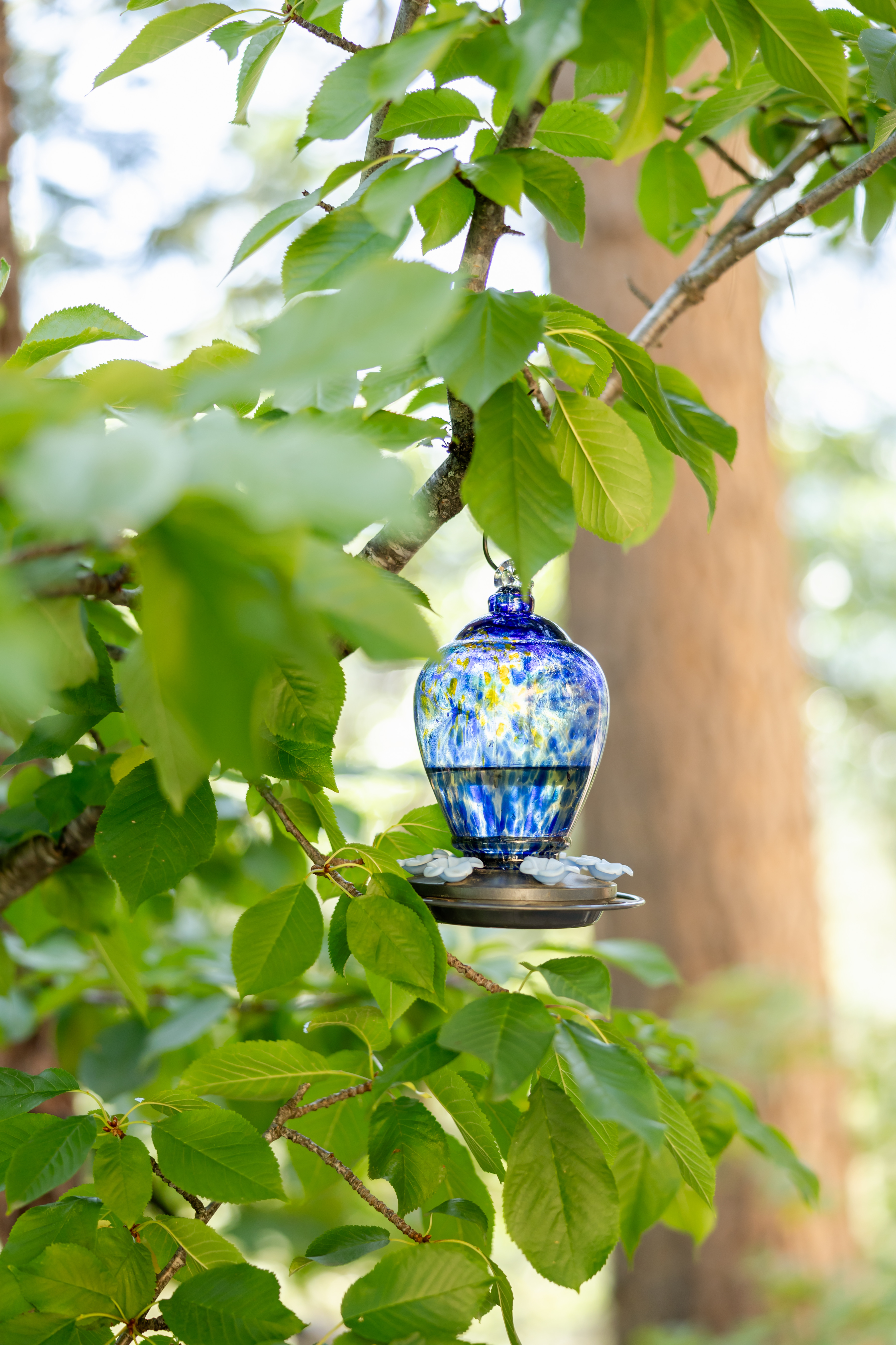 Daily retreat experience