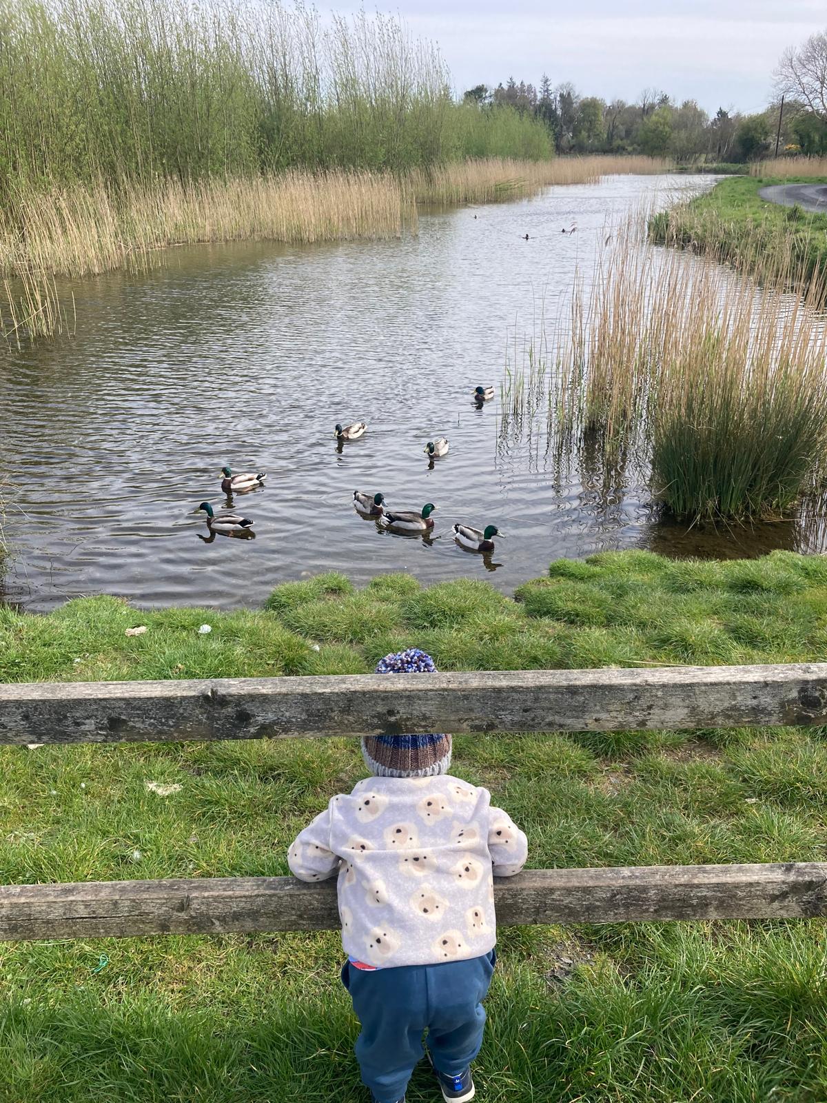 Cahertubber Lake enjoyed by locals