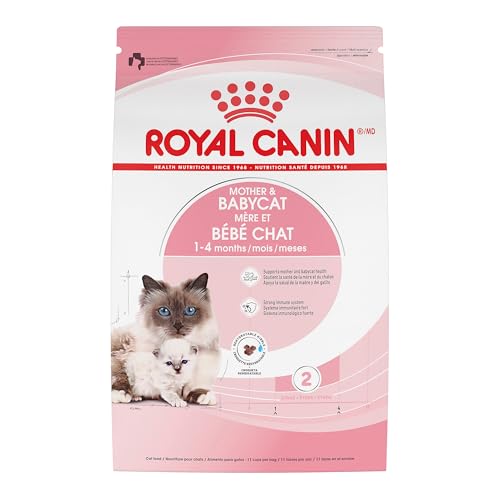 Royal Canin Feline Health Nutrition Mother & Babycat Queen Dry Cat Food, 6 lb Bag