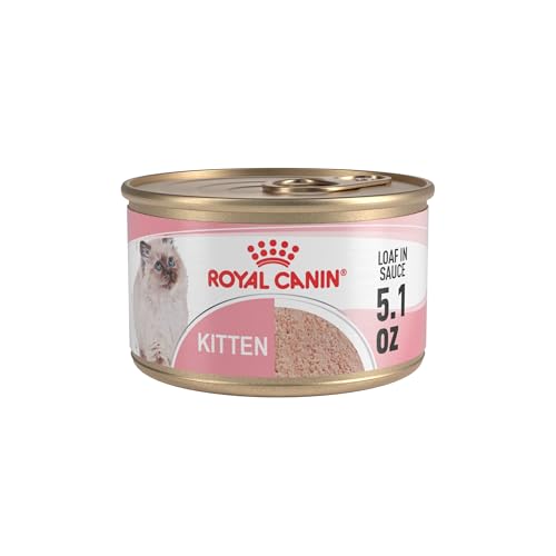 Royal Canin Feline Health Nutrition Kitten Loaf in Sauce Cat Food, 5.1 oz (Pack of 24)