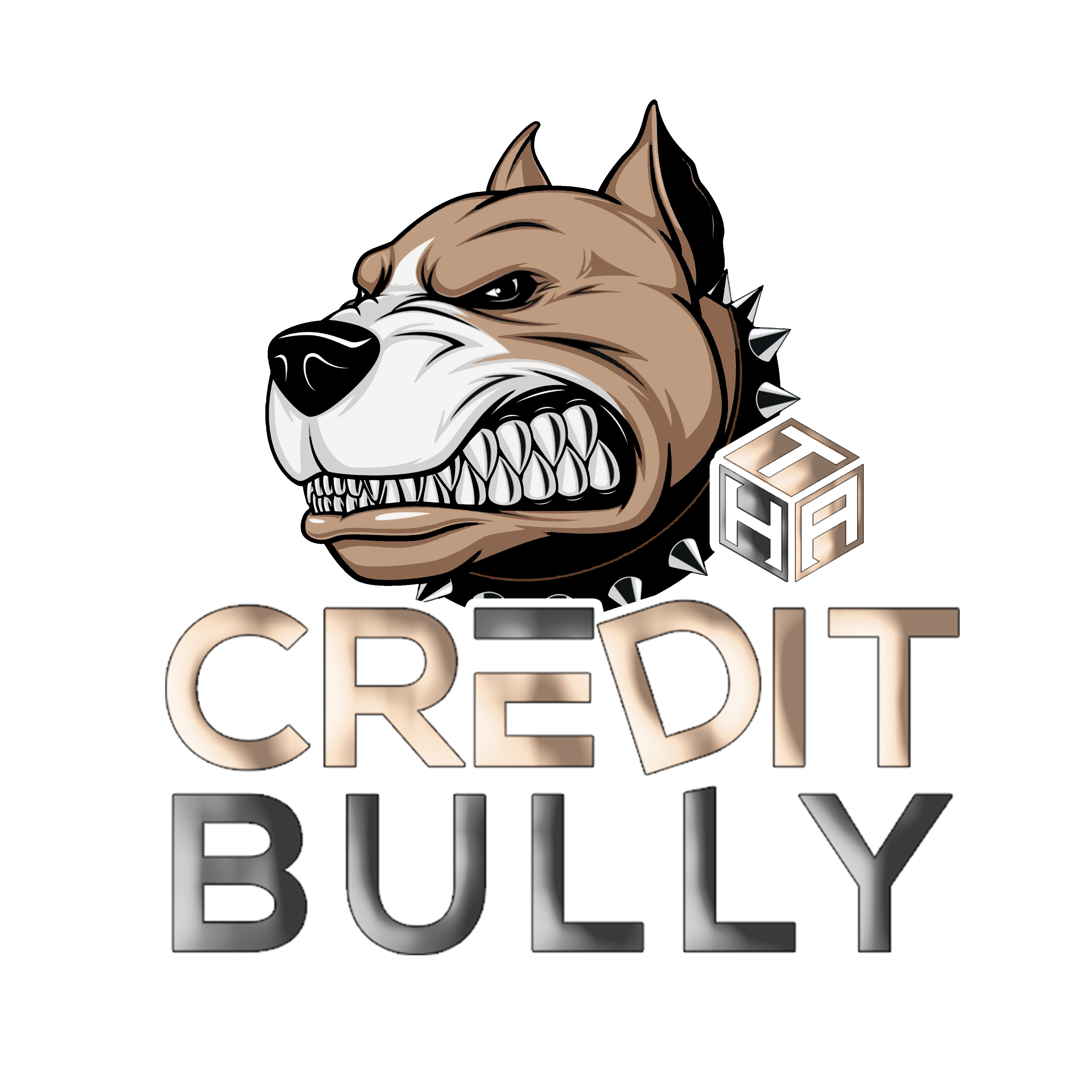 Credit Bully Mentorship