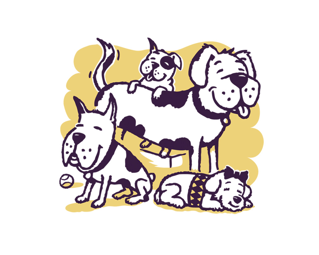 Dog Daycare Santa Barbara