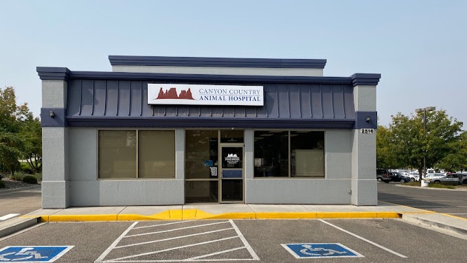 Canyon Country Animal Hospital in Grand Junctrion, CO