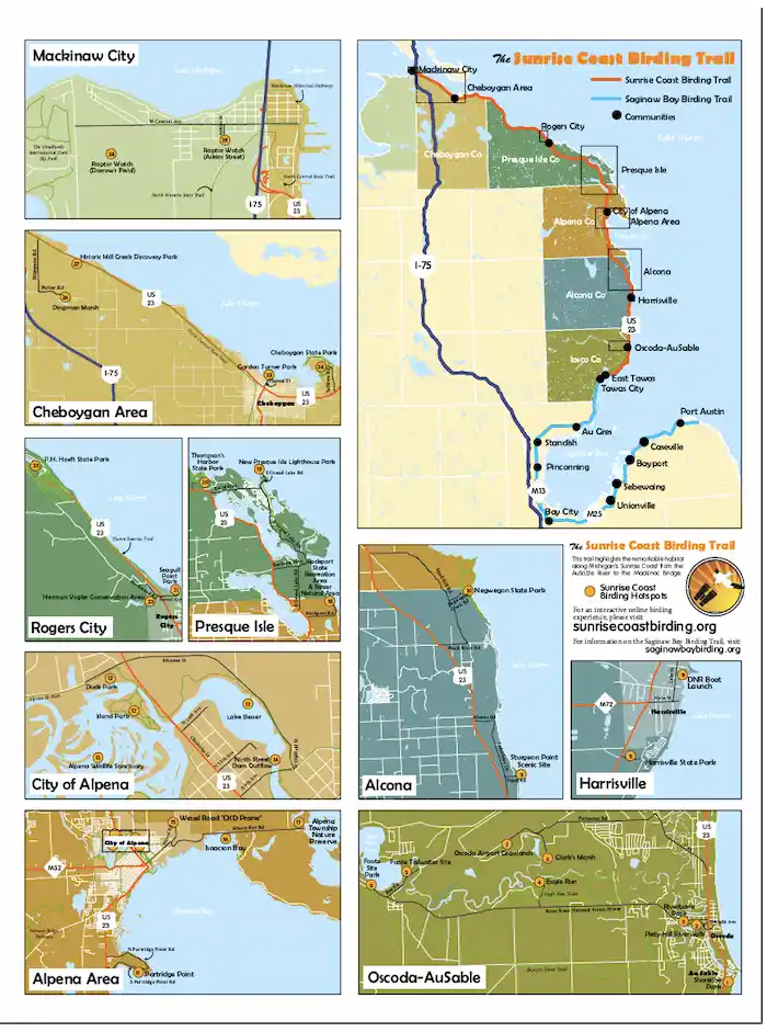Saginaw Bay Birdwatching Guide