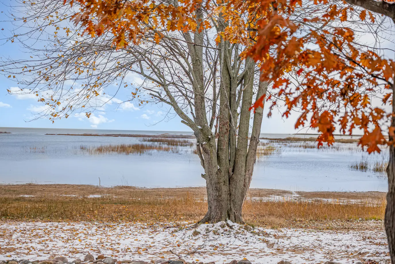 Tranquil outdoor property view featuring mature trees and Lake Huron