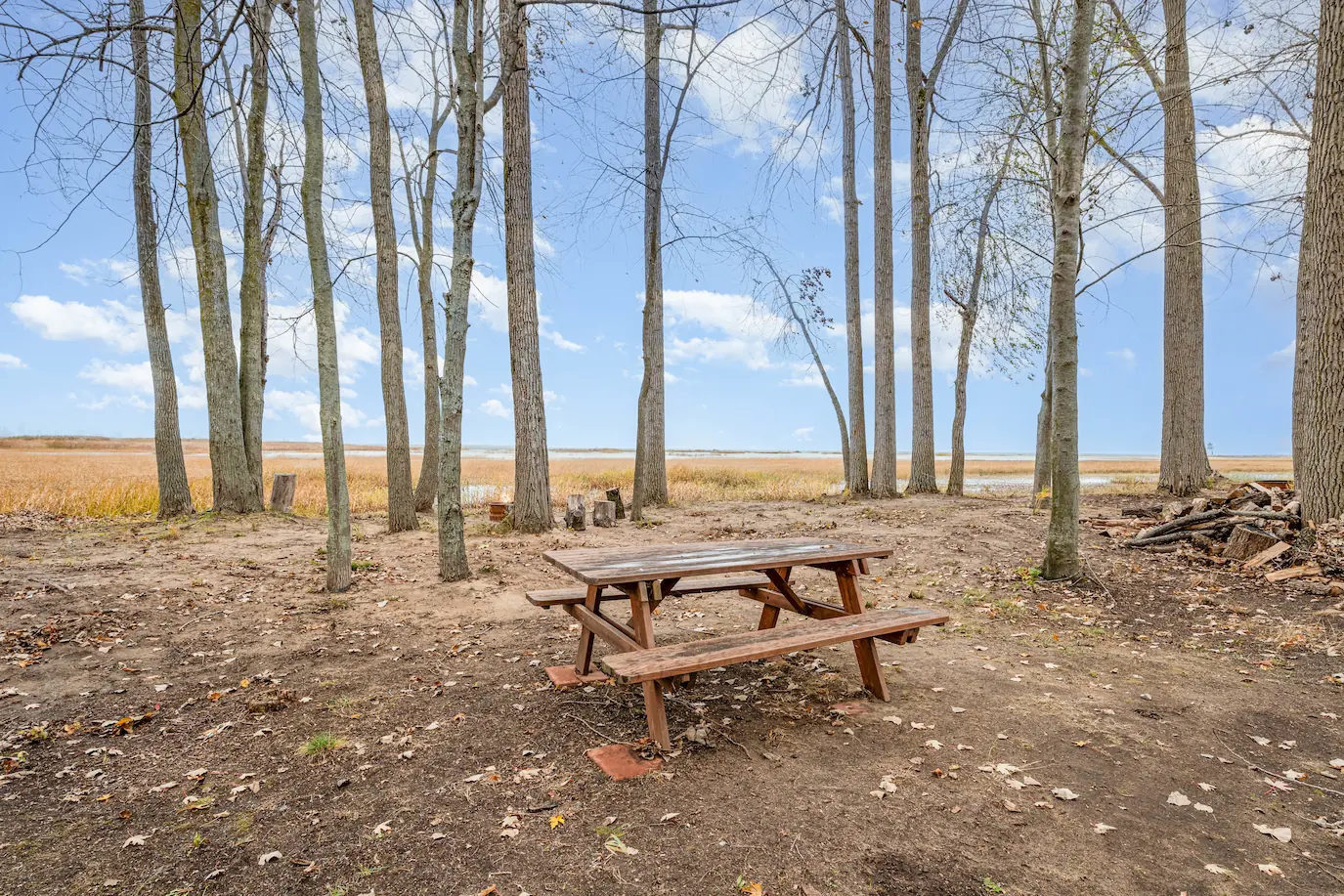 Outdoor grill area surrounded by peaceful forest and lake views
