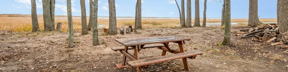 Lakeview & Wildlife — lakefront panorama