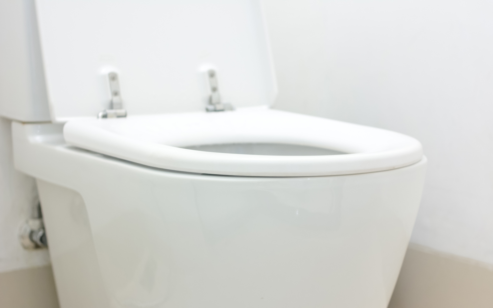 Toilet Repair