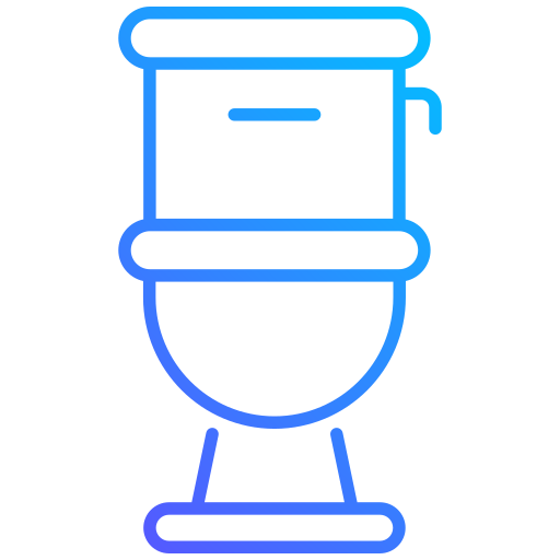 Toilet Leaking