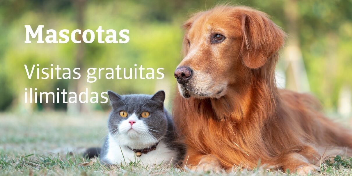Tu mascota Tu mascota