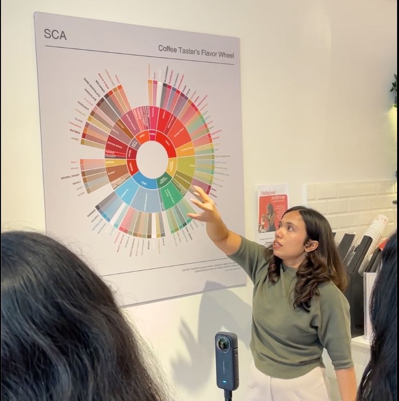 Explaining the coffee flavour wheel