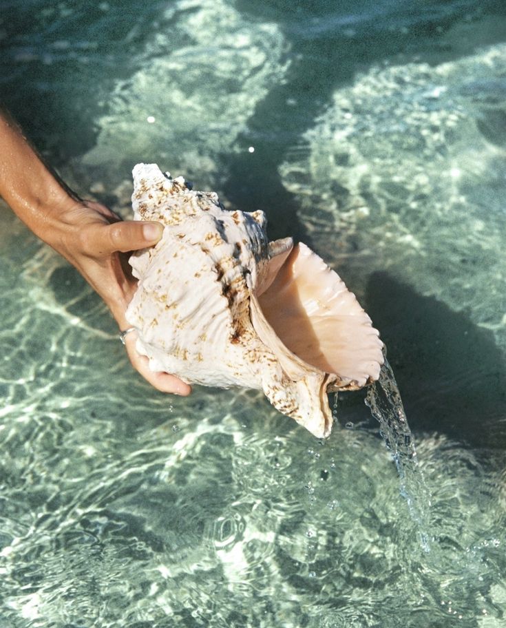 A hand pouring water from a conch shell into clear sea water