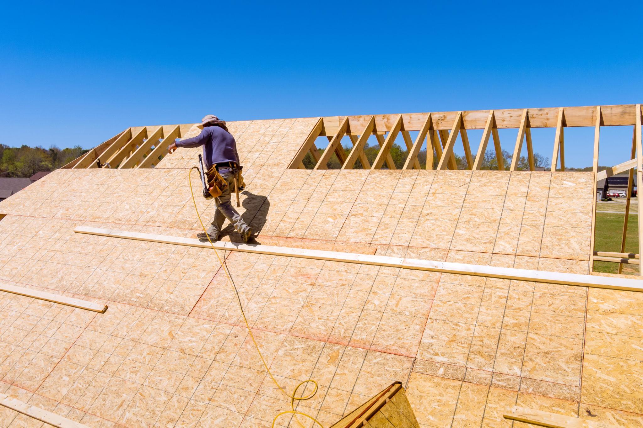 Plywood roof sheathing installed over residential roof framing