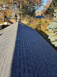 Gutter Guard's Madison