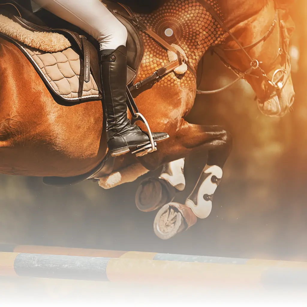 Sportlich und ohne Entzündungen - Pferd fit Dank Lifewave Aculife