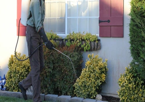  Bed Bug Heat Treatment