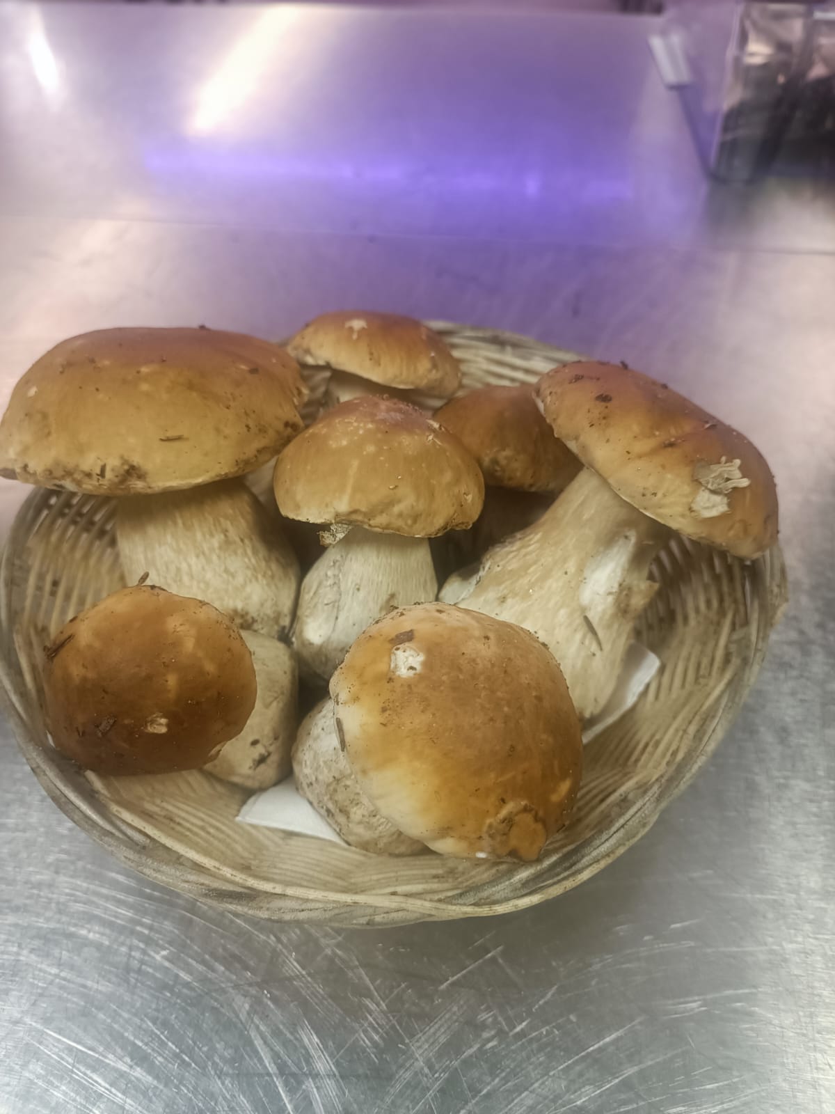 Cesto di funghi porcini freschi