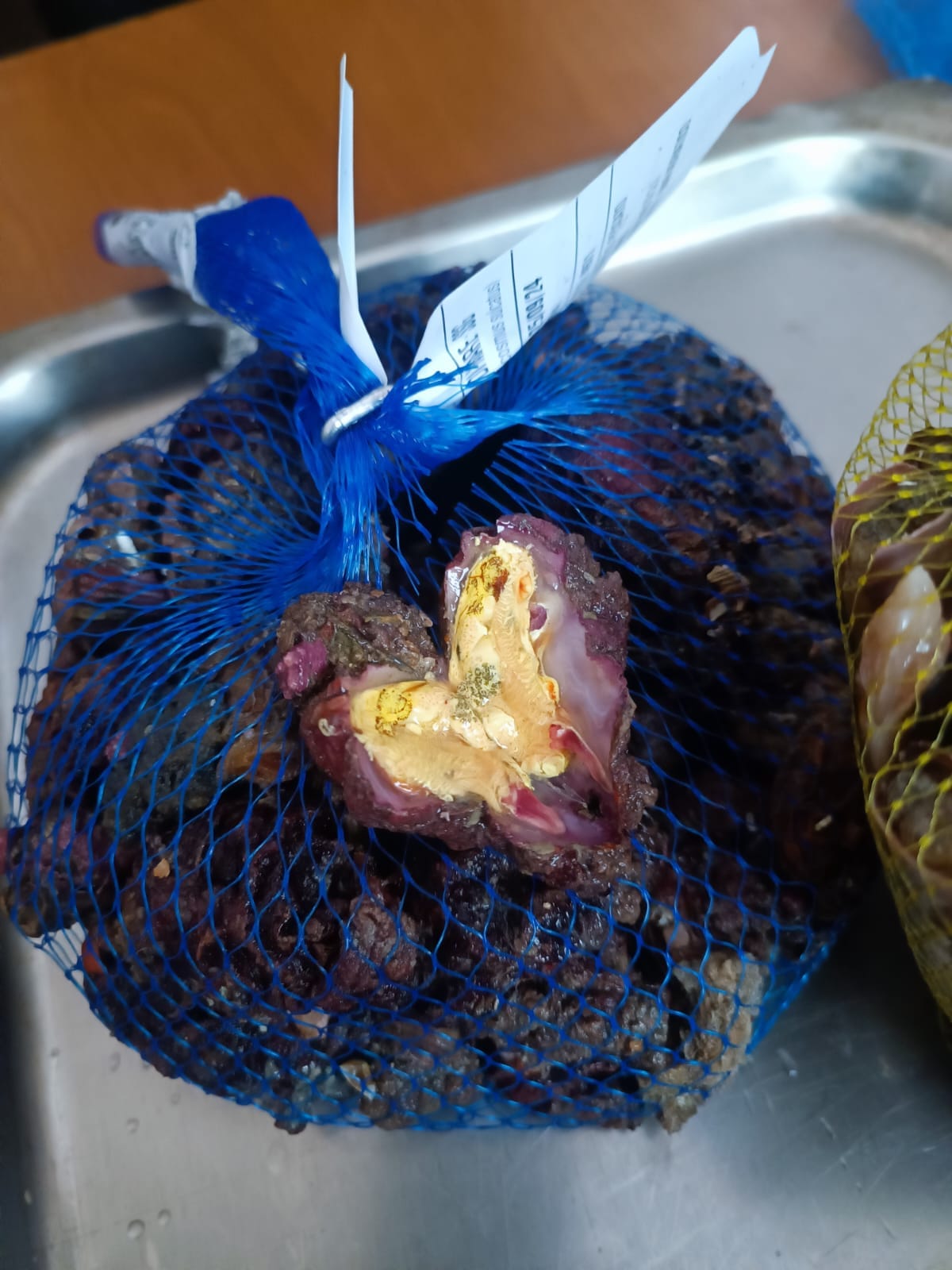 Frutti di mare freschi in retina