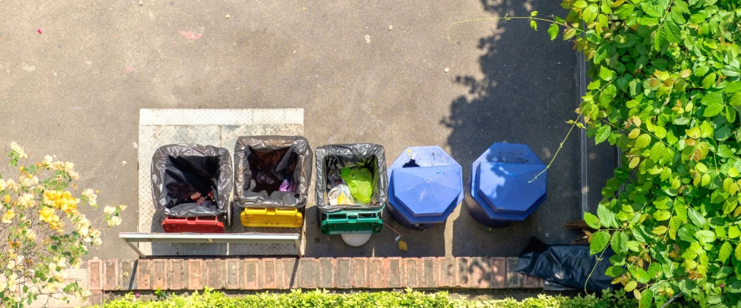 Overhead view of three rectangular recycling bins on colored bases and two blue octagonal bins on concrete, framed by green and yellow foliage. Overhead view of three rectangular recycling bins on colored bases and two blue octagonal bins on concrete, framed by green and yellow foliage.