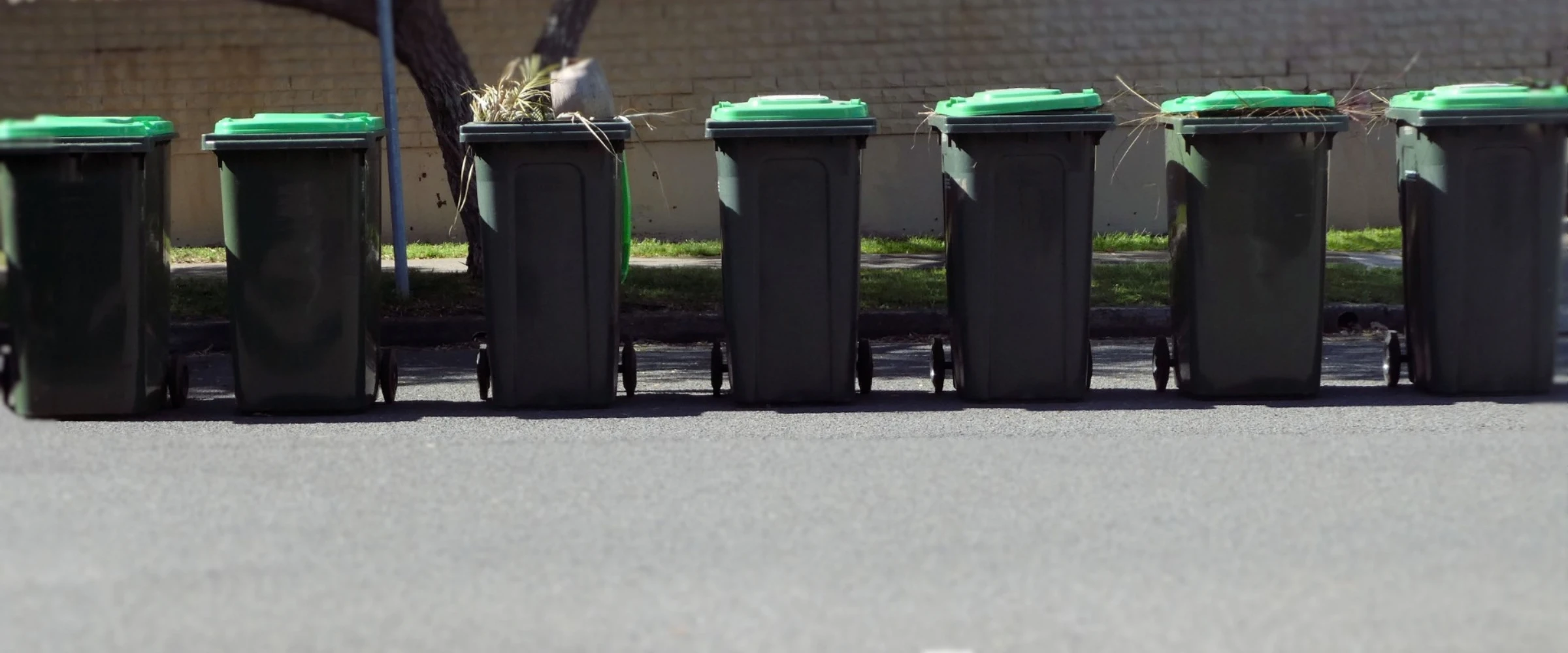 Six dark green wheelie bins with bright green lids lined up along a curb on a sunny day. Six dark green wheelie bins with bright green lids lined up along a curb on a sunny day.