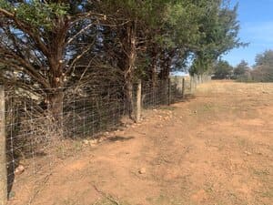 {{ custom_values.service_4 }} in {{custom_values.area_1})