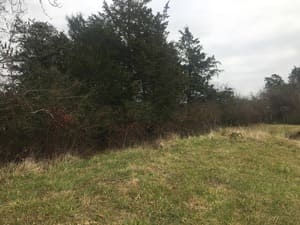 {{ custom_values.service_2 }} in {{custom_values.area_5})