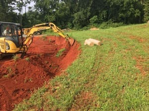 {{ custom_values.service_2 }} in {{custom_values.area_3})